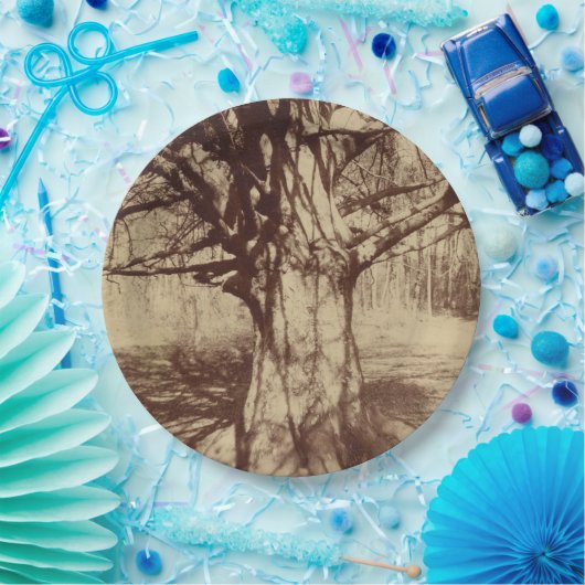 Beech Tree (door Eugène Atget) Papieren Bordje (Feest)