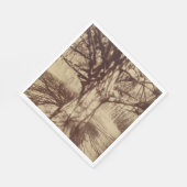 Beech Tree (door Eugène Atget) Servet (Hoek)