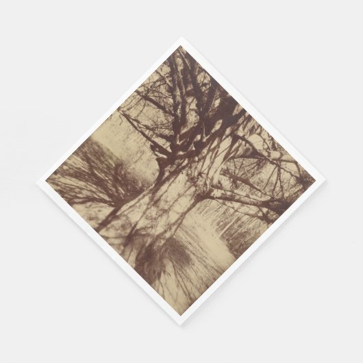 Beech Tree (door Eugène Atget) Servet (Hoek)