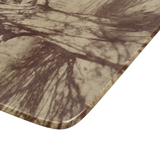 Beech Tree (door Eugène Atget) Snijplank (Hoek)