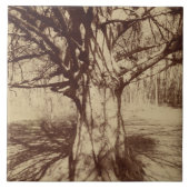 Beech Tree (door Eugène Atget) Tegeltje (Voorkant)