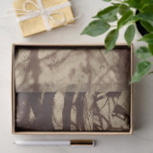 Beech Tree (door Eugène Atget) Tissuepapier (Geschenk)