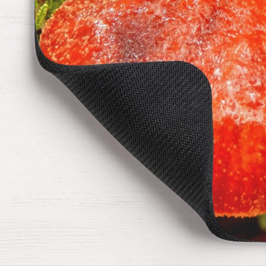 Beefsteak Fungus Mouse Mat Muismat (Hoek)