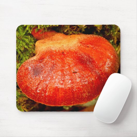Beefsteak Fungus Mouse Mat Muismat (Met muis)