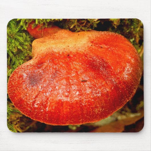 Beefsteak Fungus Mouse Mat Muismat (Voorkant)