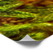 Beefsteak Fungus Poster (Hoek)