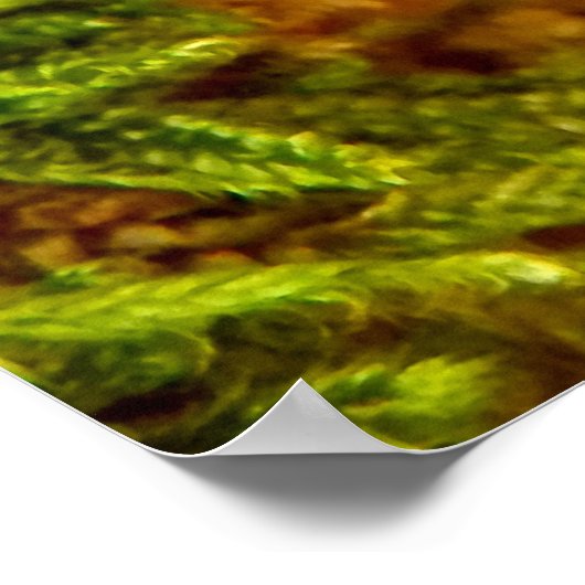 Beefsteak Fungus Poster (Hoek)