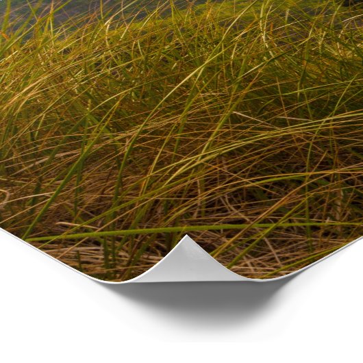 Beehive, Acadia National Park, Maine Poster (Hoek)