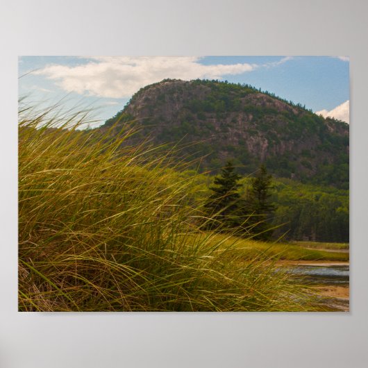 Beehive, Acadia National Park, Maine Poster (Voorkant)