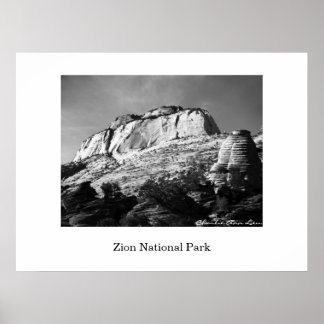 Beehive en Monolith Poster