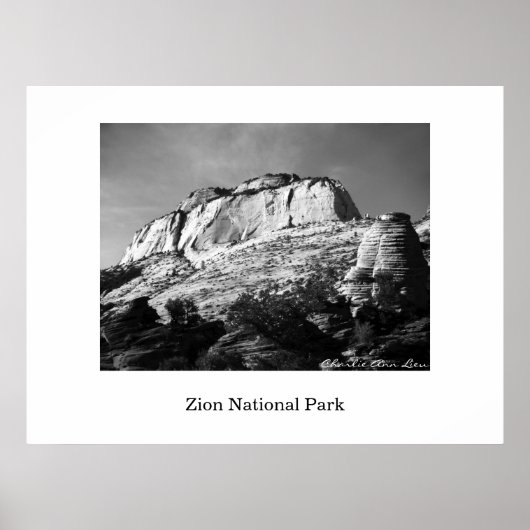 Beehive en Monolith Poster (Voorkant)