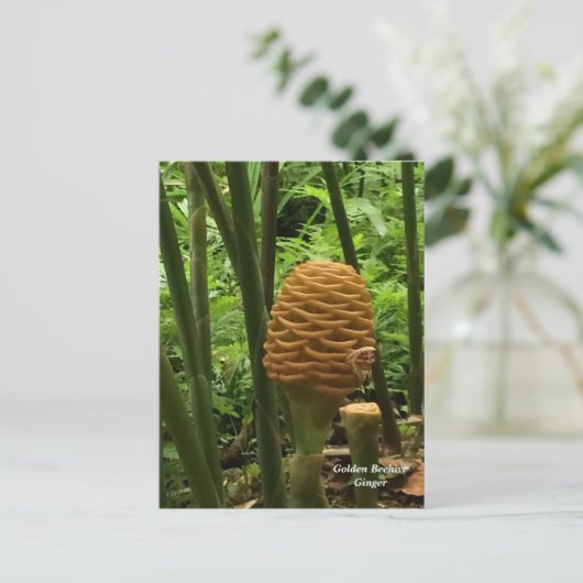 Beehive Ginger Tropisch Plant Briefkaart (Staand voorkant)
