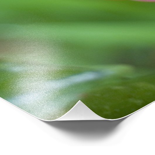 Beehive Ginger, Zingiber spectabile), Foto Afdruk (Hoek)