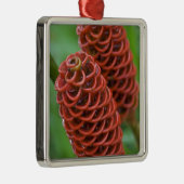 Beehive Ginger, Zingiber spectabile), Metalen Ornament (Rechts)