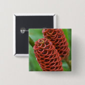 Beehive Ginger, Zingiber spectabile), Vierkante Button 5,1 Cm (Voorkant /achterkant)