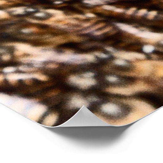 BEEHIVE POSTER (Hoek)