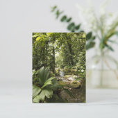 beek in het regenwoud, Dominica Briefkaart (Staand voorkant)