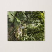 beek in het regenwoud, Dominica Legpuzzel (Horizontaal)
