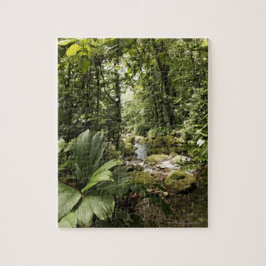 beek in het regenwoud, Dominica Legpuzzel (Verticaal)