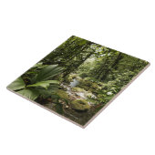 beek in het regenwoud, Dominica Tegeltje (Zijkant)