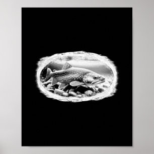 Beekforel Droge Vliegen Vissen Liefhebber Fly Tyin Poster