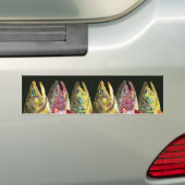 Beekforel, Regenboogforel, Bruine Forel Vissen Bumpersticker (Op auto)
