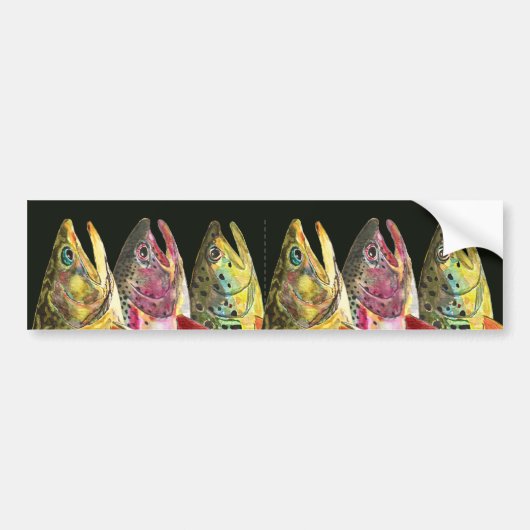 Beekforel, Regenboogforel, Bruine Forel Vissen Bumpersticker (Voorkant)