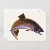  beekforel vis, sport Gevist visser Briefkaart (Voorkant / Achterkant)