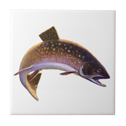  beekforel vis, sport Gevist visser Tegeltje (Voorkant)