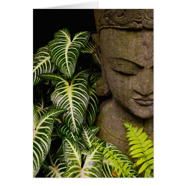 Beeld in een Garden Locatie-informatie: Chiang Ma (Voorkant)