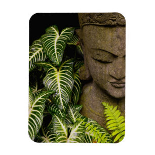 Beeld in een Garden Locatie-informatie: Chiang Ma Magneet