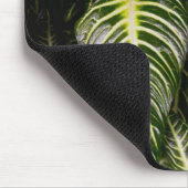 Beeld in een Garden Locatie-informatie: Chiang Ma Muismat (Hoek)