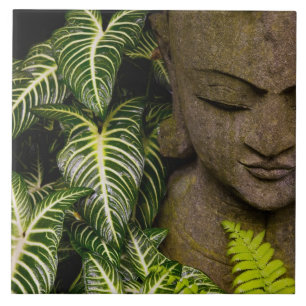 Beeld in een Garden Locatie-informatie: Chiang Ma Tegeltje