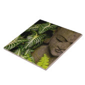 Beeld in een Garden Locatie-informatie: Chiang Ma Tegeltje (Zijkant)