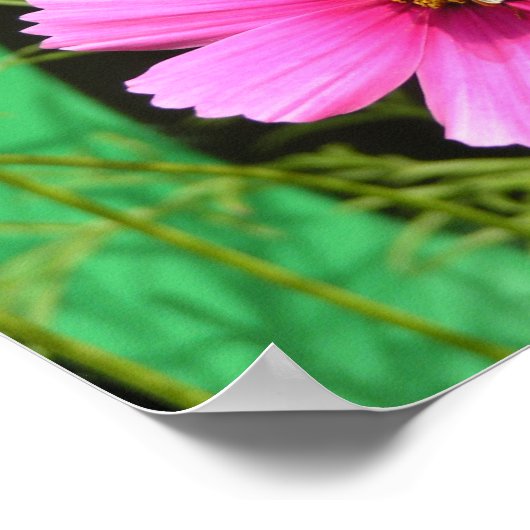 Beeld op een kosmos foto poster (Hoek)