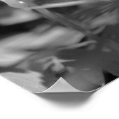 Beeld op Kolomventilator Gedeeltelijke kleur Poster (Hoek)