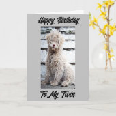 **BEELD TWEEDE DAG* TULIPS GALORE KAART (Gele Bloem)