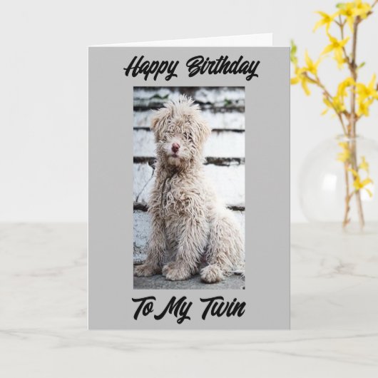 **BEELD TWEEDE DAG* TULIPS GALORE KAART (Gele Bloem)