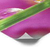 Beeld van asters gevormd in waterdruppels poster (Hoek)