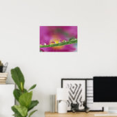 Beeld van asters gevormd in waterdruppels poster (Thuiskantoor)