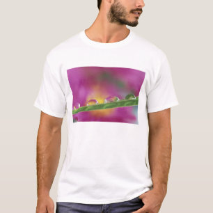 Beeld van asters gevormd in waterdruppels t-shirt