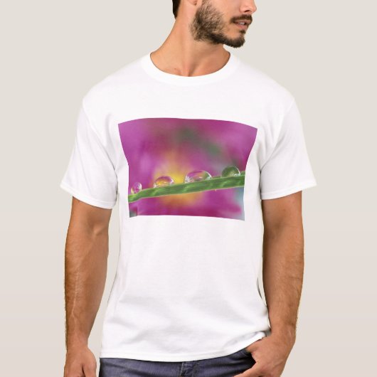 Beeld van asters gevormd in waterdruppels t-shirt (Voorkant)
