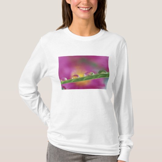 Beeld van asters gevormd in waterdruppels t-shirt (Voorkant)