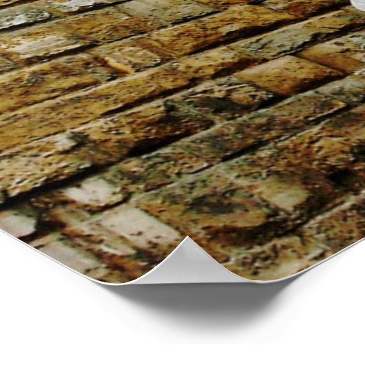 beeld van David, Florence, Poster Italië (Hoek)