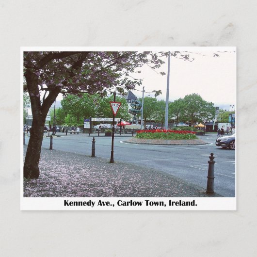 Beeld van de levensboom, stad Carlow Ierland Briefkaart (Voorkant)
