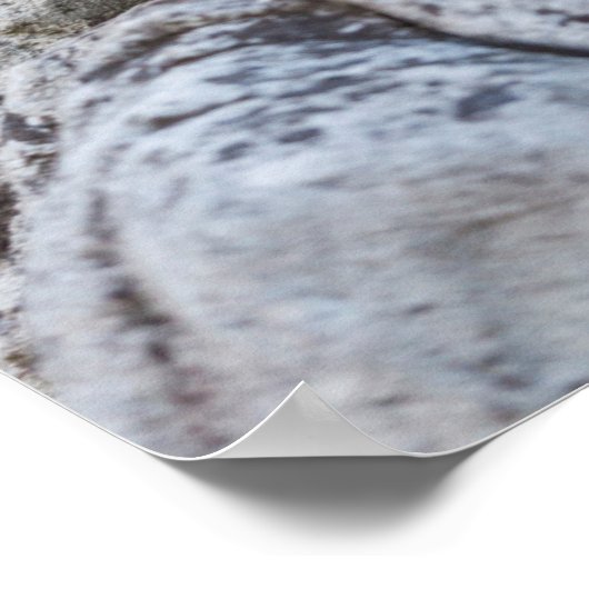 beeld van de Loreley Mermaid Poster (Hoek)