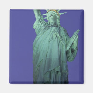 Beeld van de Vrijheid, New York, Verenigde Staten Magneet