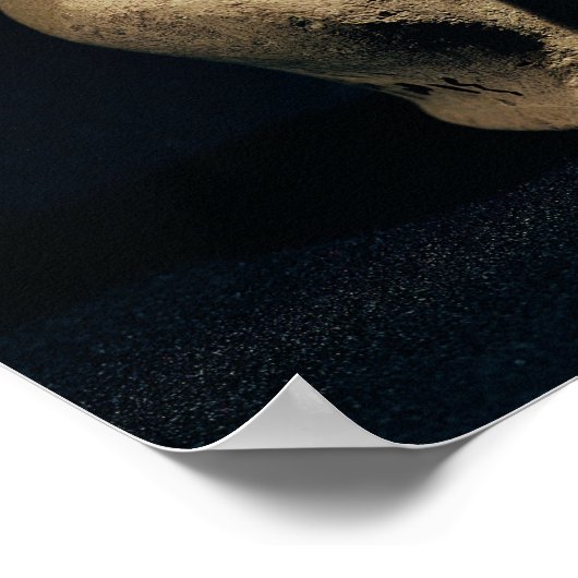 beeld van een godin, 6e millennium BC Poster (Hoek)