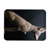 beeld van een hond, mesopotamie, c.5000-1000 BC (l Magneet (Horizontaal)