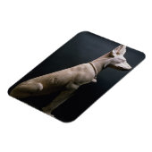 beeld van een hond, mesopotamie, c.5000-1000 BC (l Magneet (Linkerzijde)